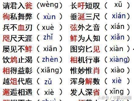 娱乐吃瓜酱学单词,娱乐吃瓜酱带你轻松学单词