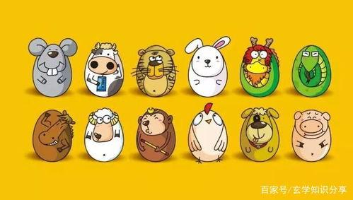 娱乐吃瓜酱十二生肖,娱乐吃瓜酱带你揭秘生肖背后的娱乐秘密