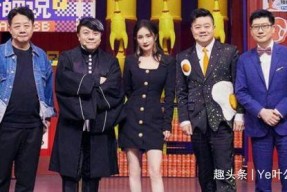 国产综艺,创新与传承的视听盛宴